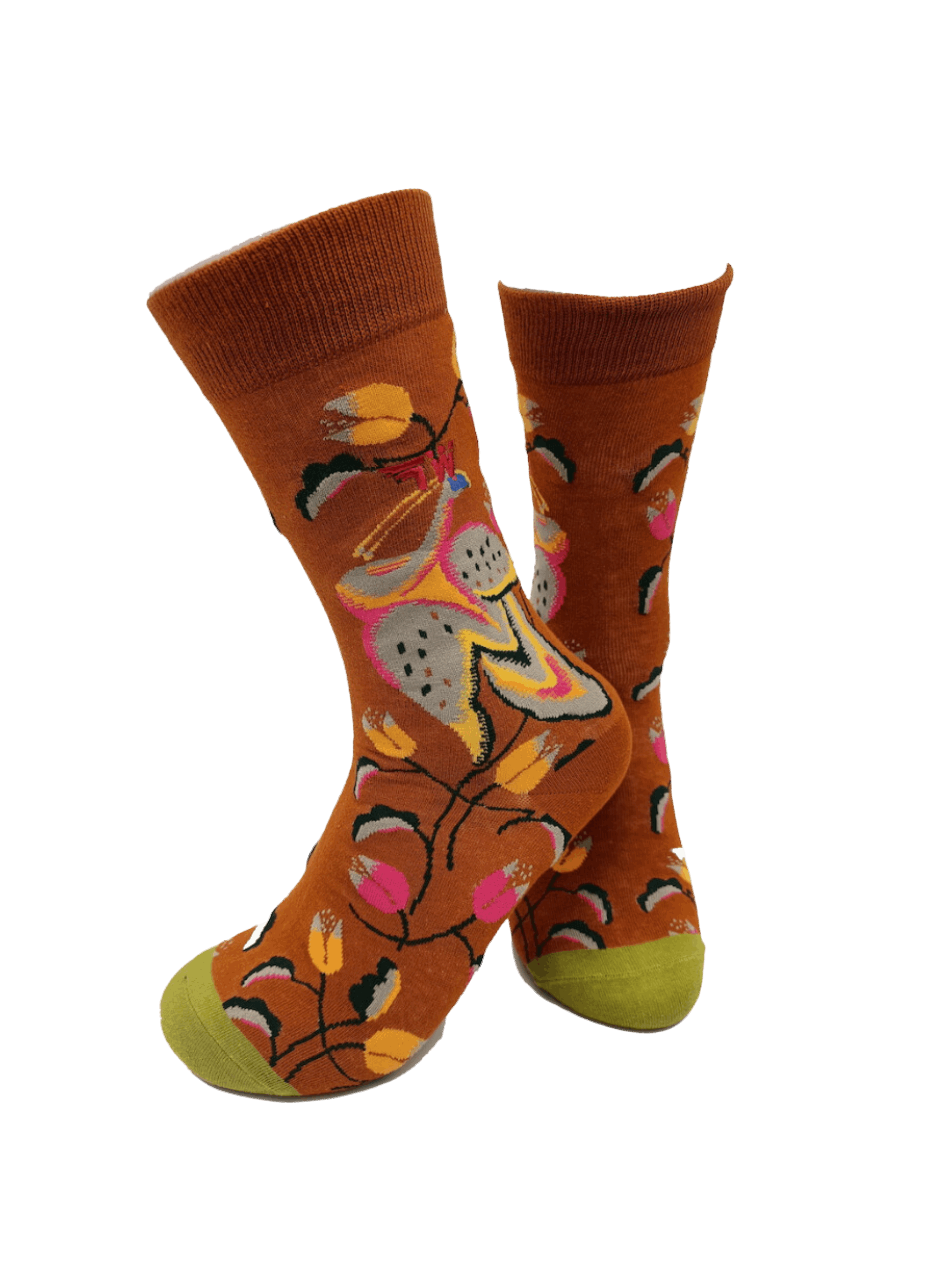 SHOCKS - Tropicaal - Power