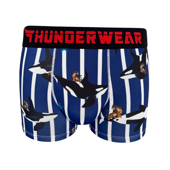 Trunks - Wyld Wyllie - Quick Dry