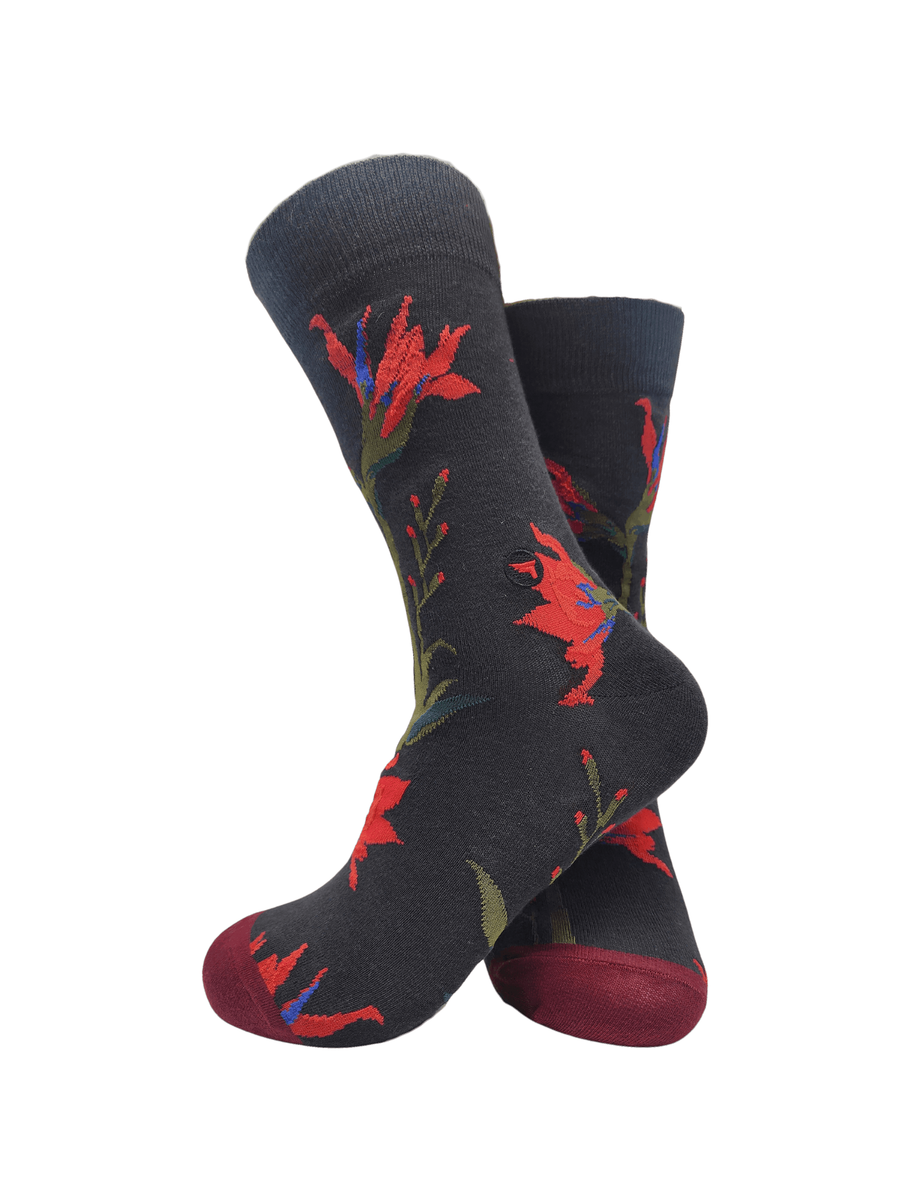 SHOCKS - Tropicaal - Wild Flower