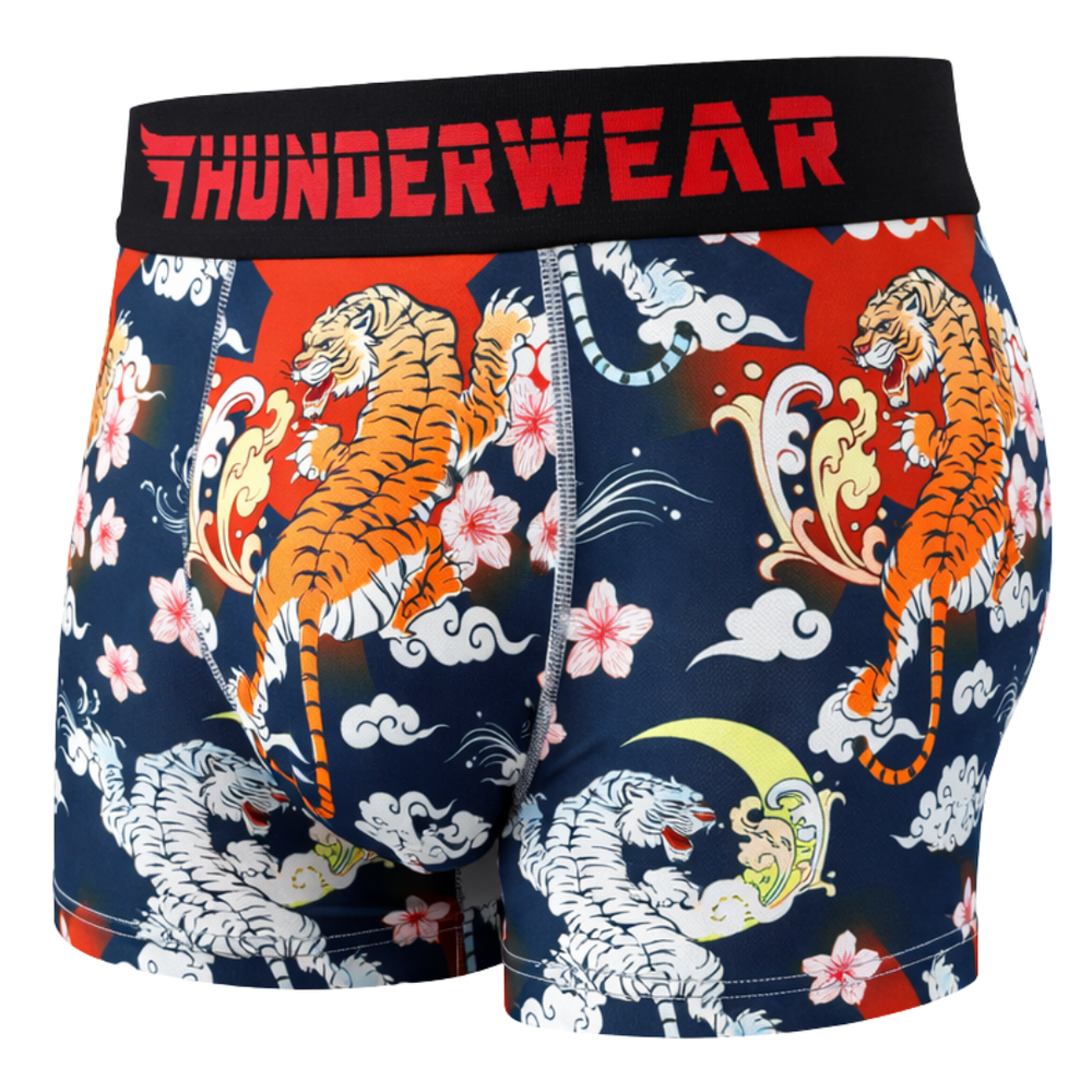 THUNDIES Old Monthlies Subscription - ThunderWear Asia